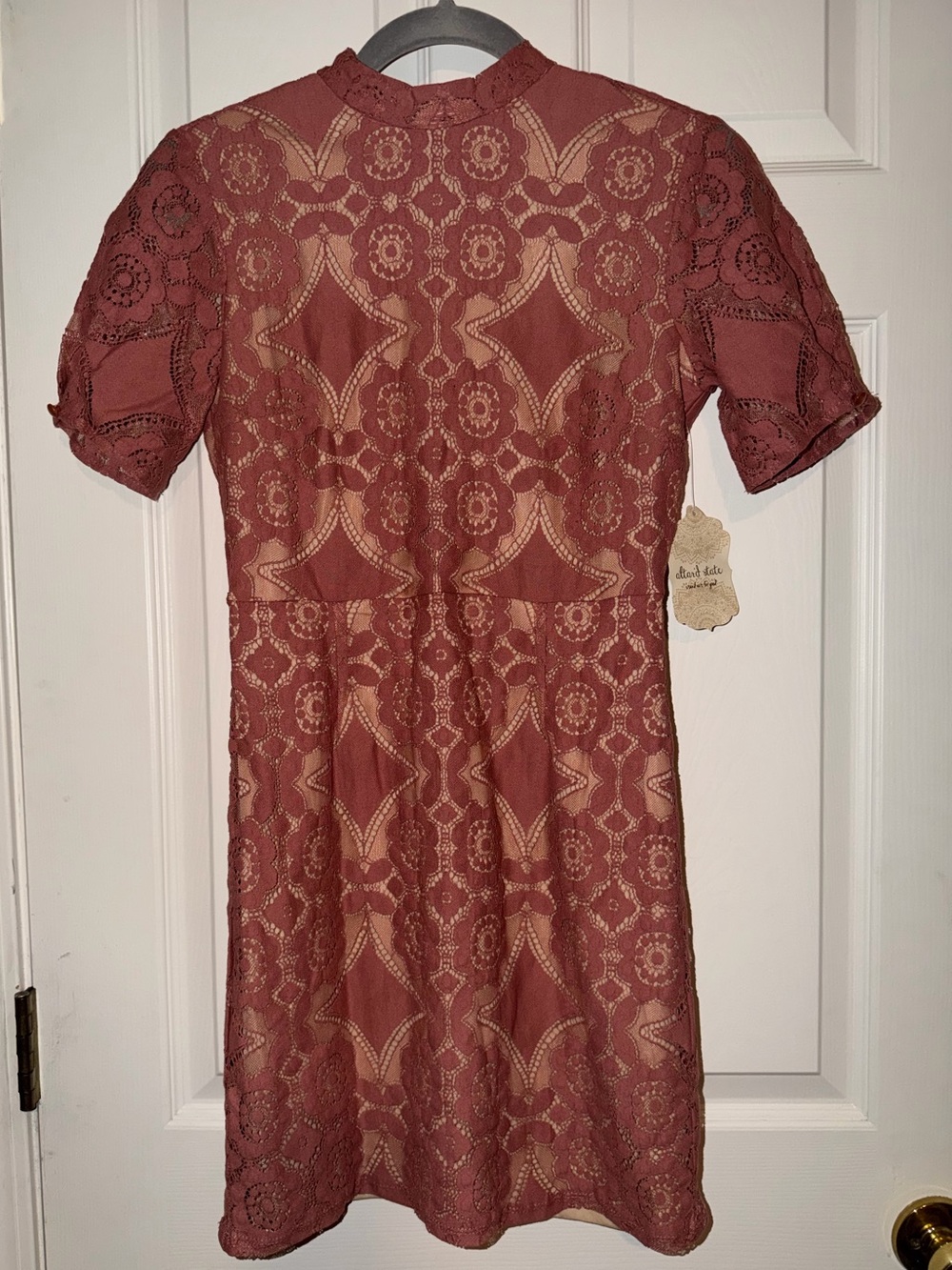 Altar'd State Allegra Floral Lace Bodycon Mini Dress in Dusty Rose